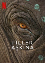 Filler Aşkına (2022) izle