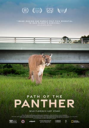 Panter’in Yolu (2023) izle